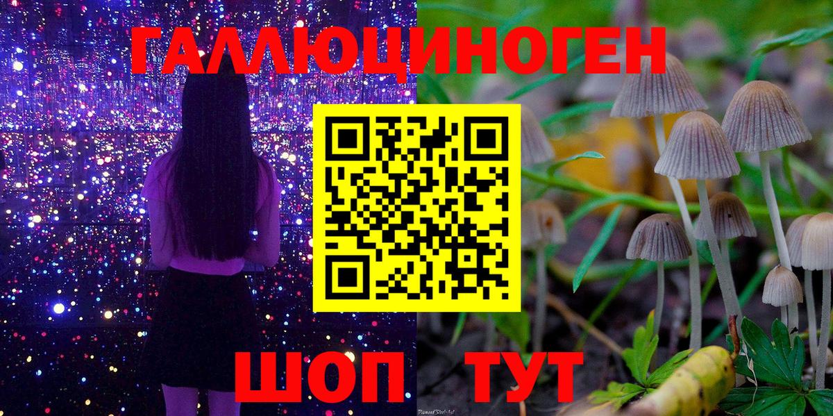 Галлюциногенные грибы Magic Shrooms  что такое наркотик  Геленджик  Галлюциногенные грибы Psilocybe  Вход с VPN 